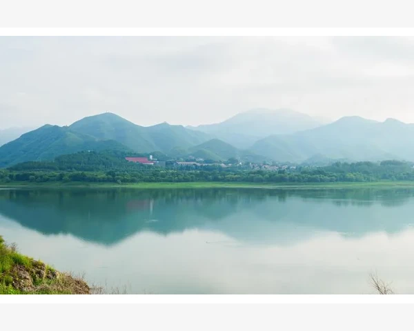 儿童的脾胃虚弱如何通过按摩来改善？